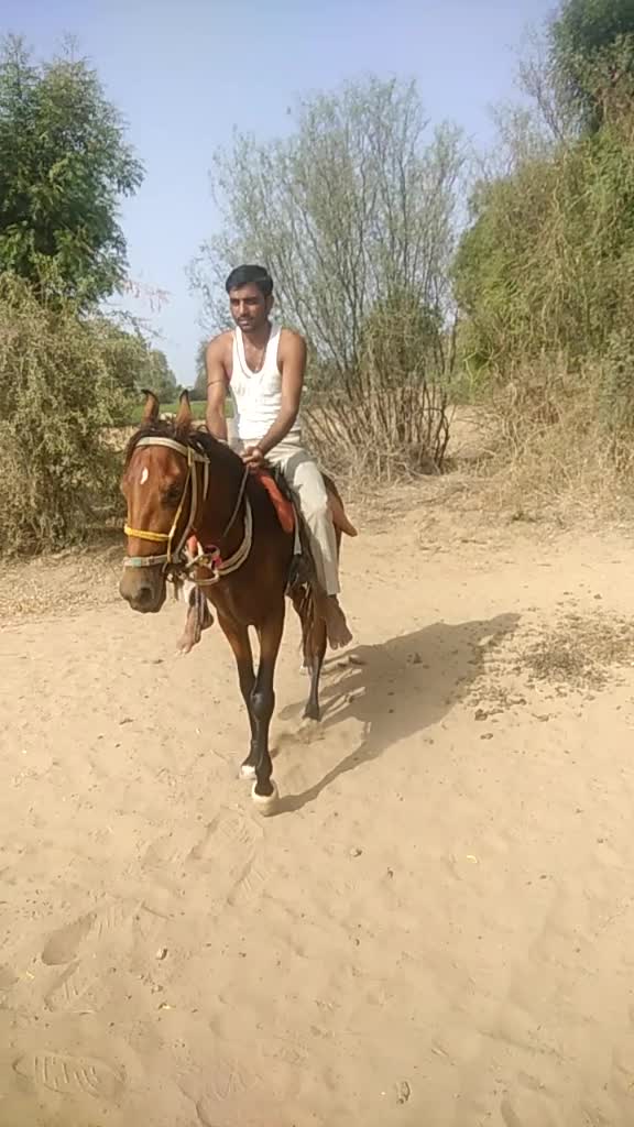 @🔥🔥RABARI🔥 RJ🔥