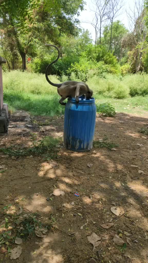 @Akash Bhalerao