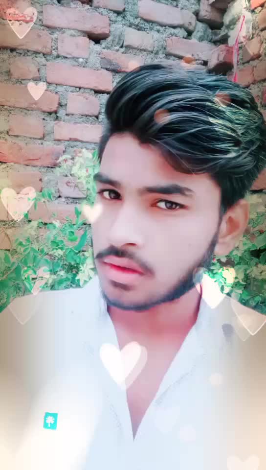 @kapilkushwah5149