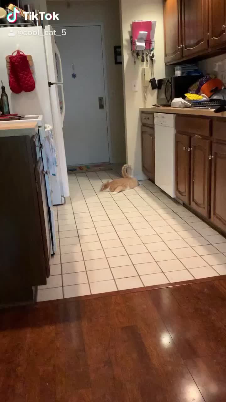 @Alyssa 🦋🐱