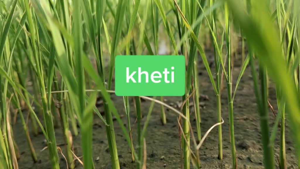 @Ashish Kumar