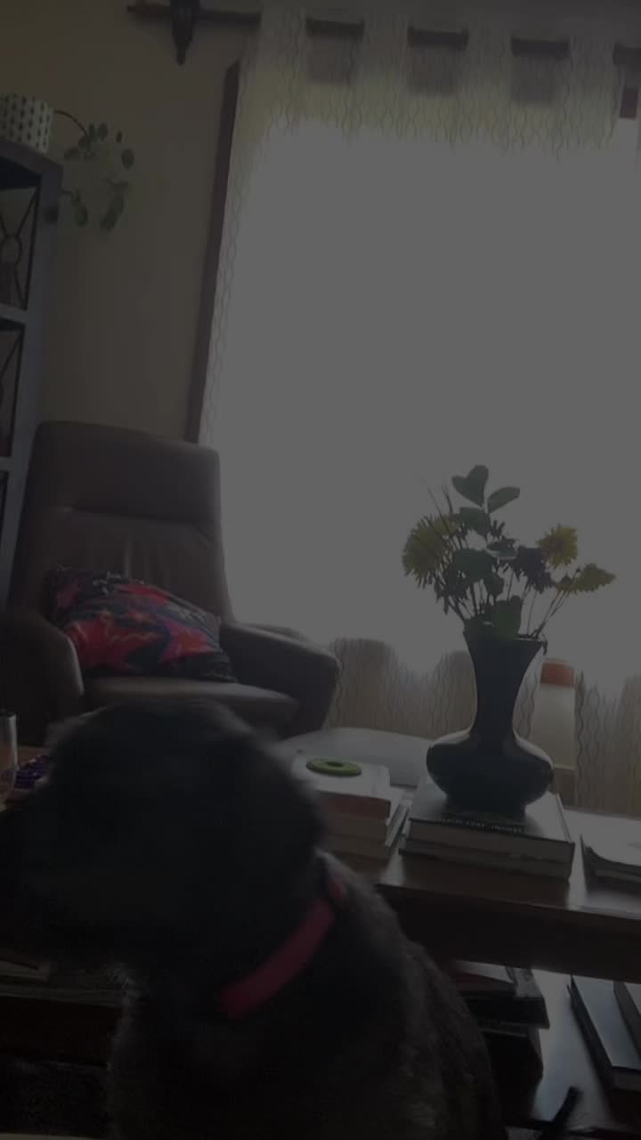 @Yo