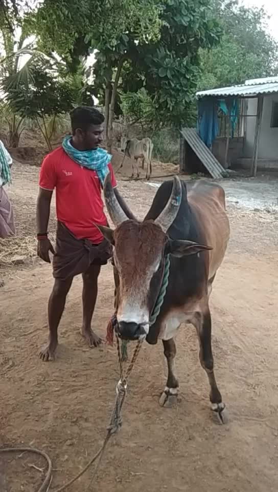 @ரஞ்சித்அய்யனார்குளம்