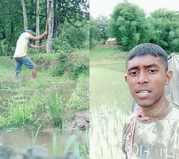 @Nishanta borah