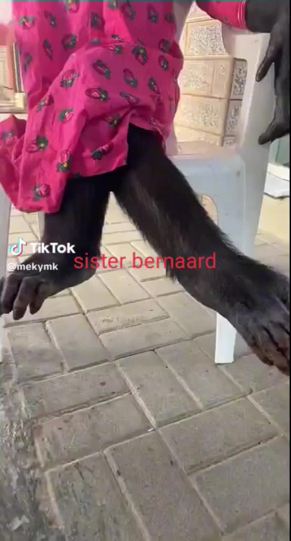 @Viny