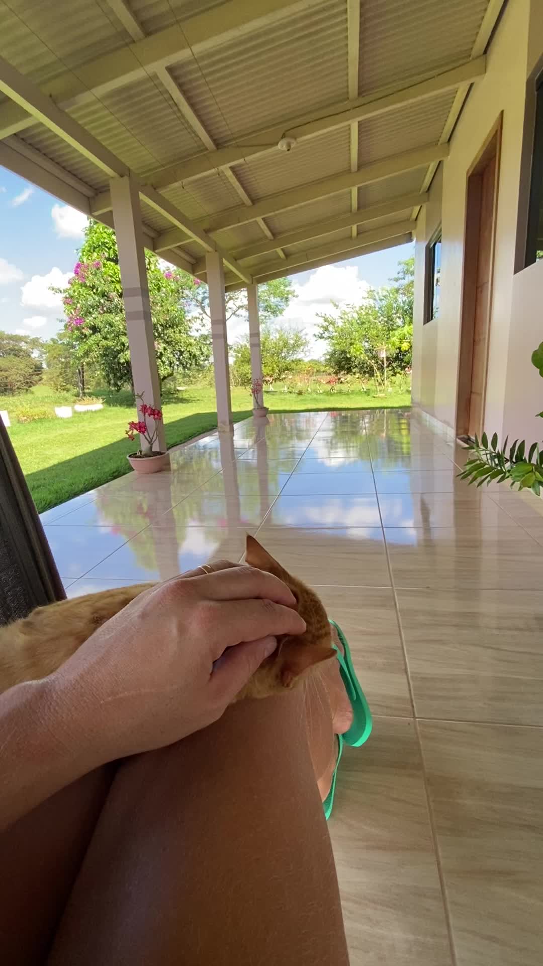 @meucantinhonositio🏡☀️🍃