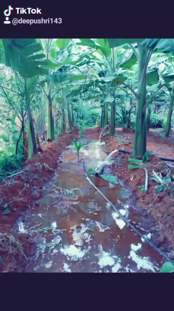 @user8814789759653
