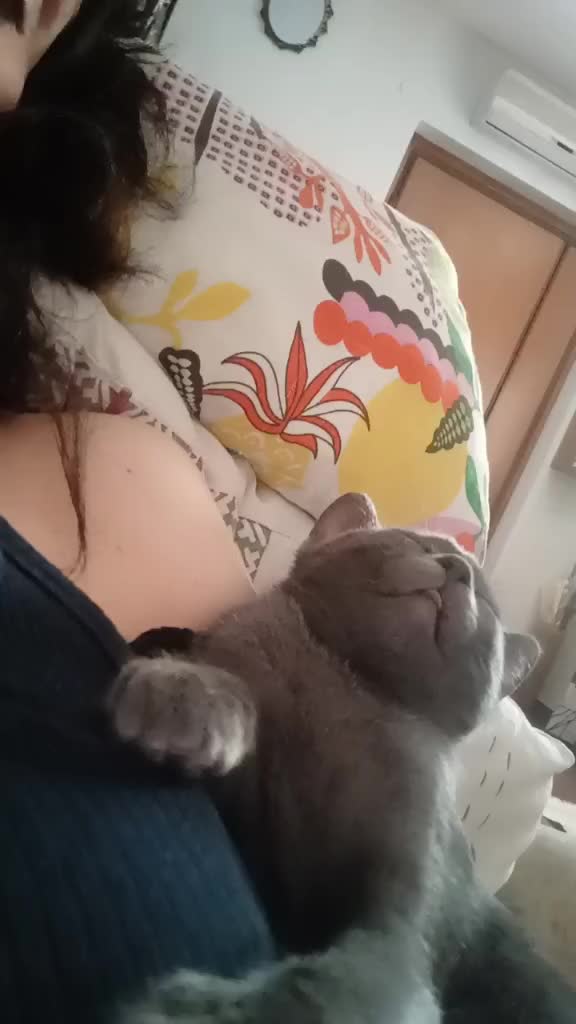 @MariangelaDeTora