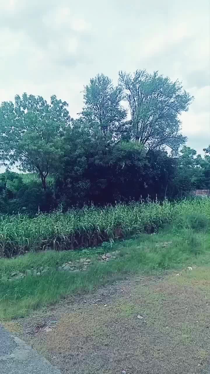 @SuryakantPanchal
