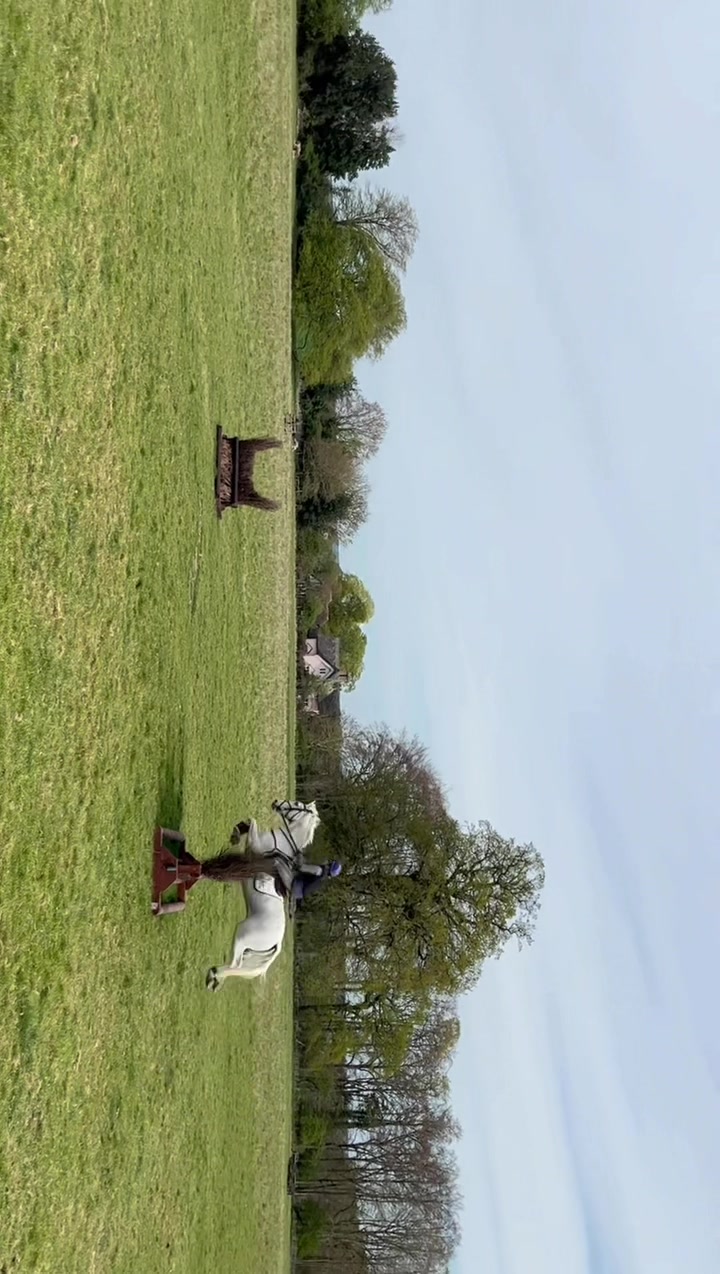 @notlouiselee