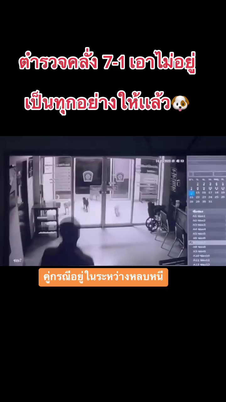 @หมู่เก่งไงจะใครล่ะ👮🏻♀️