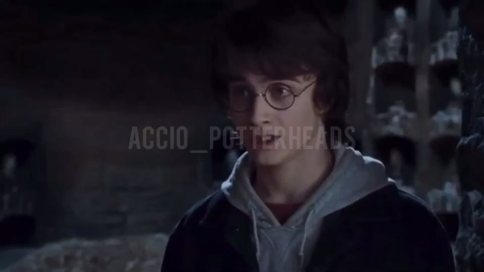 @Accio_Potterheads