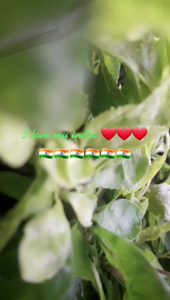 @milion king sunil
