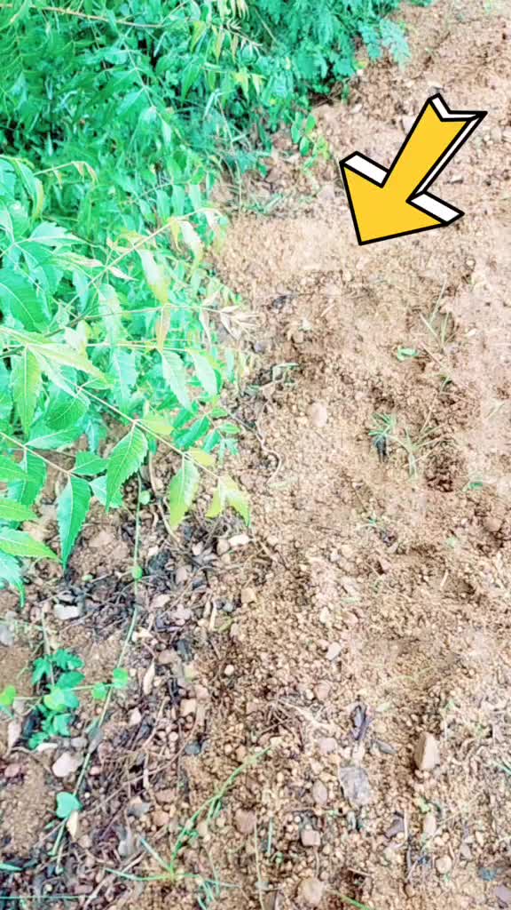 @Alaguprabu