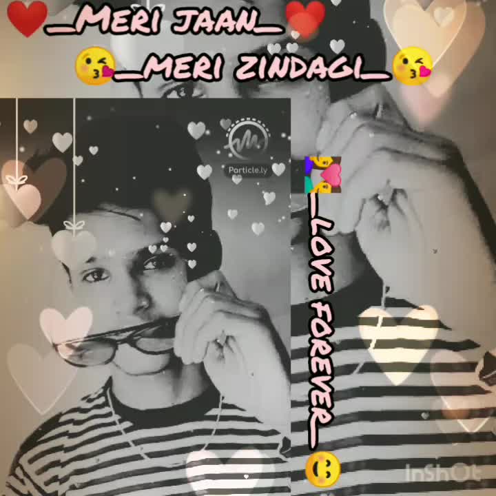 @maya_jangid