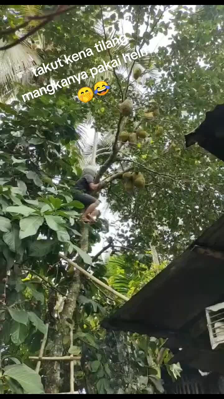 @ajo abenk