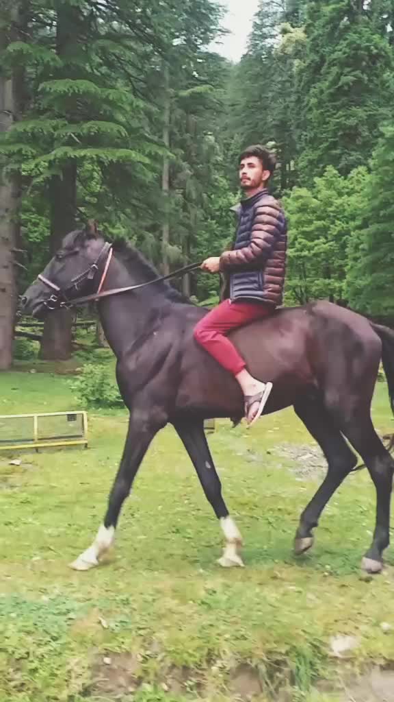@Pammu Sharma