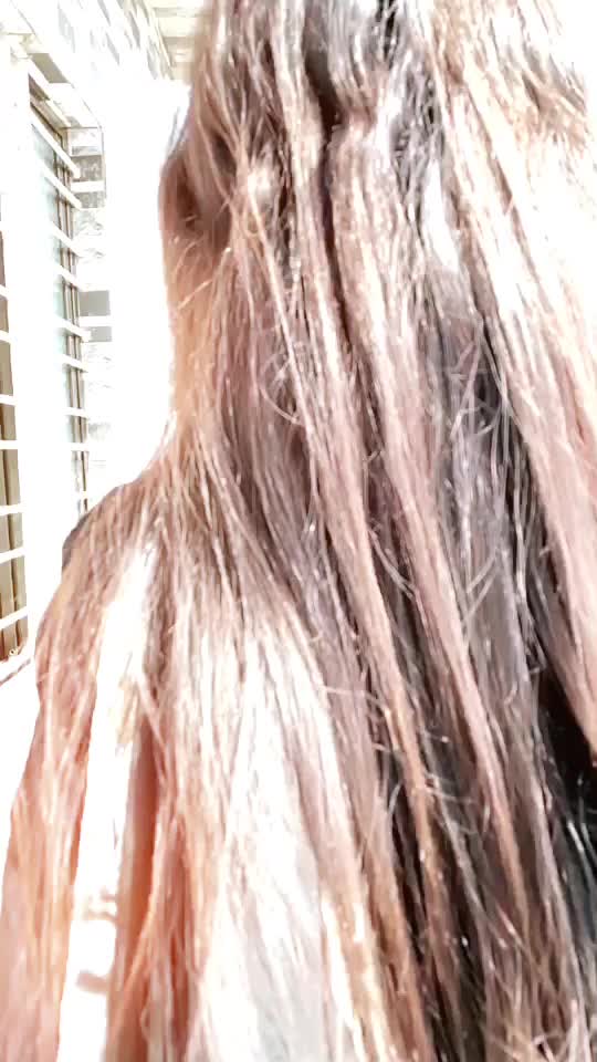 @sofia shaikh