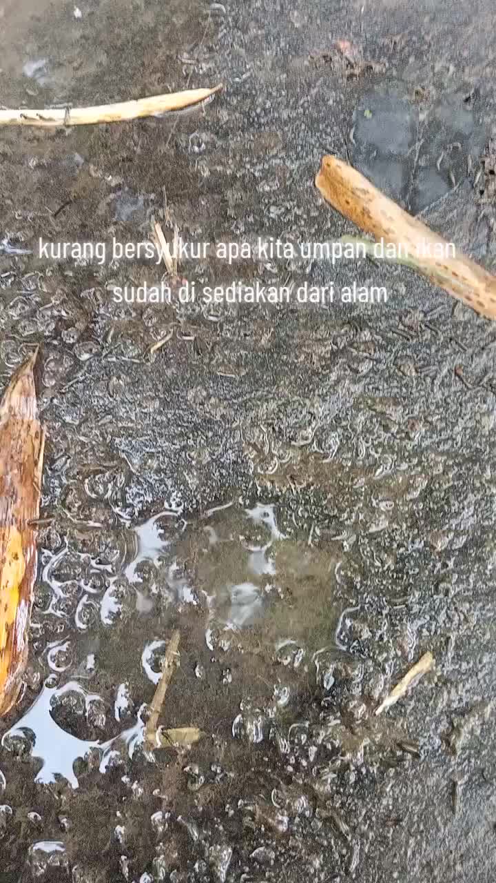 @orupnaselfishing