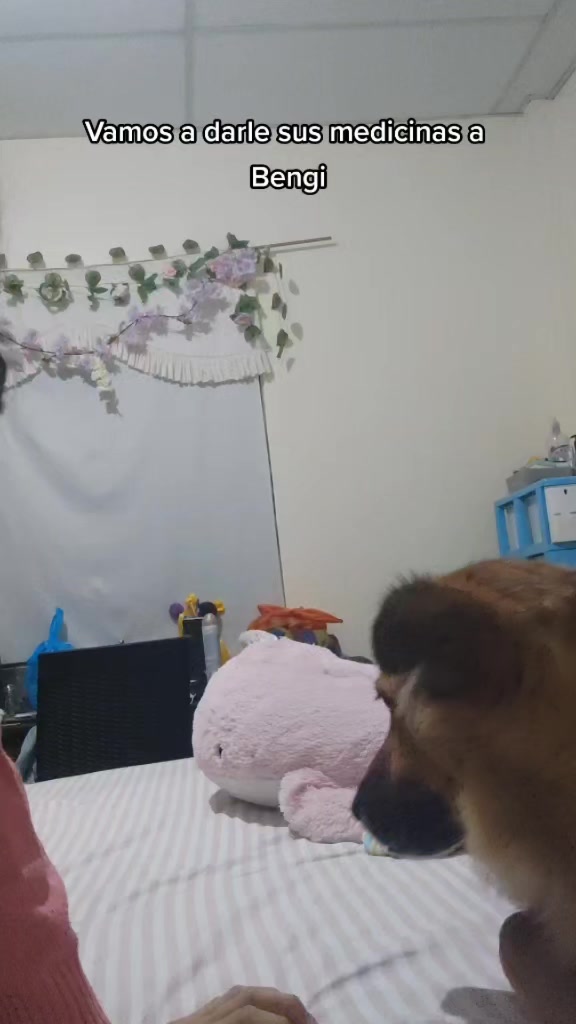 @๐ฎ๐๐๐๐๐๐ ๐