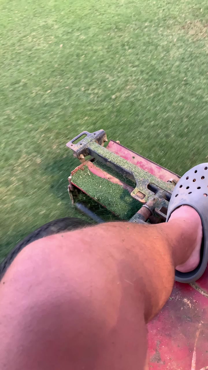@BlueCollarDeBo