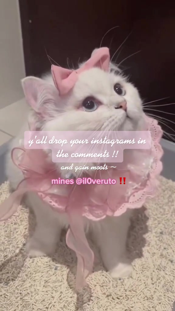 @erica !