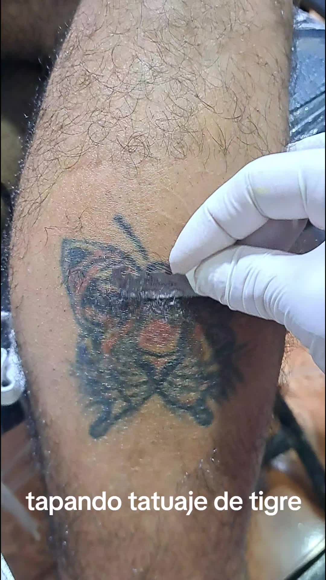 @Willtattoos