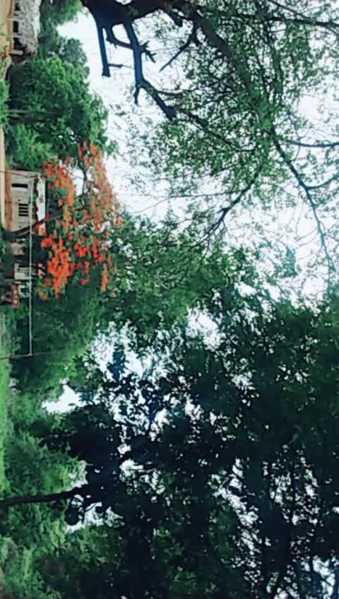 @SwethaPriyaMathangi