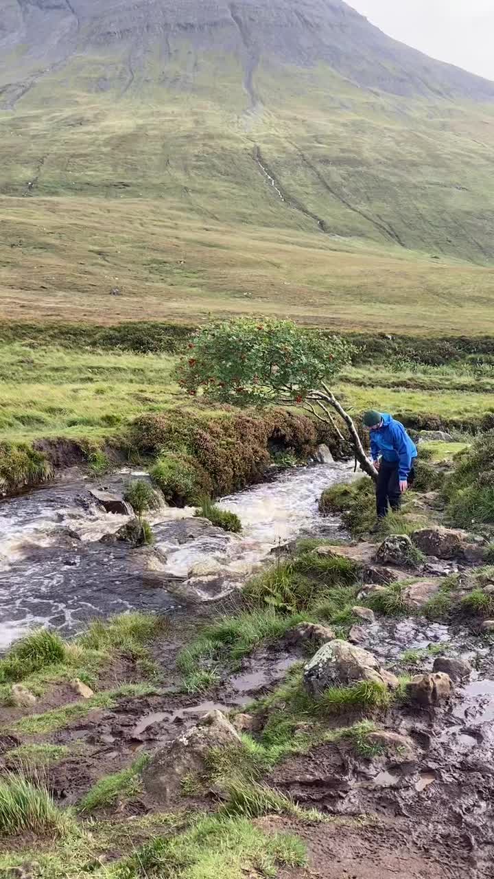 @geniustravels.co.uk