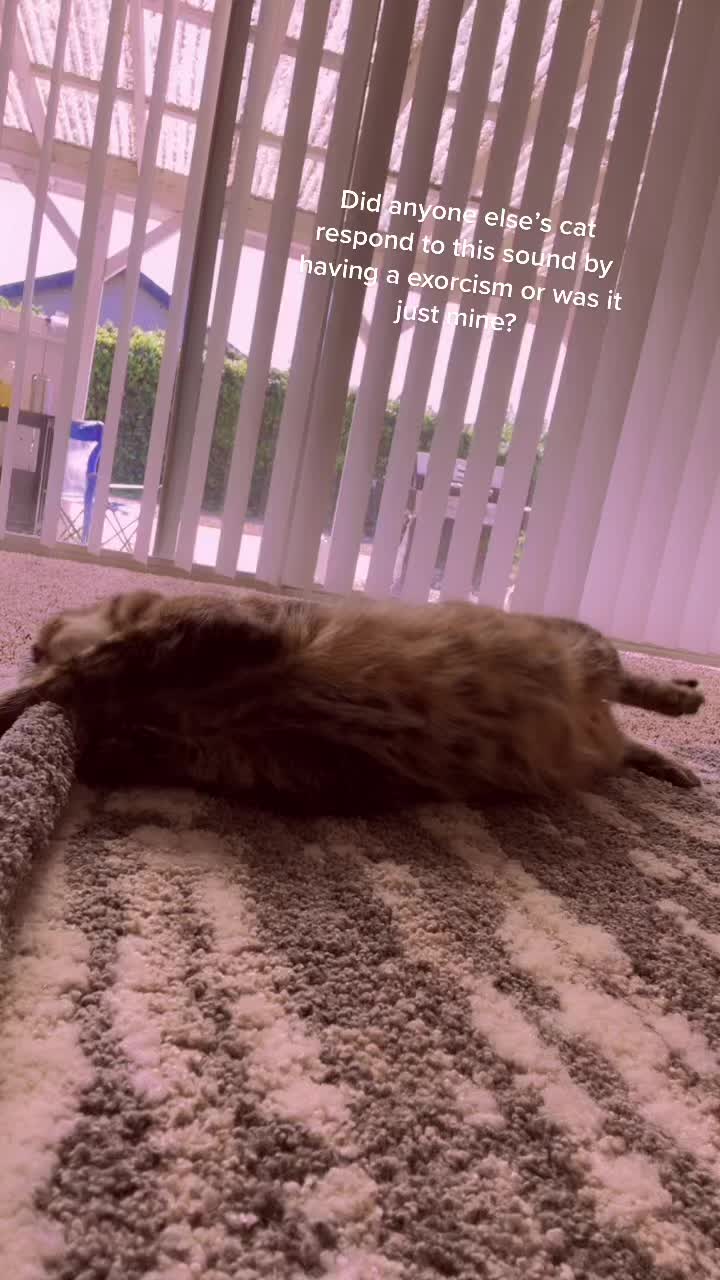 @Itsallieebearrrr
