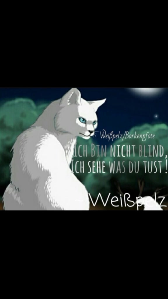@Warrior Cats
