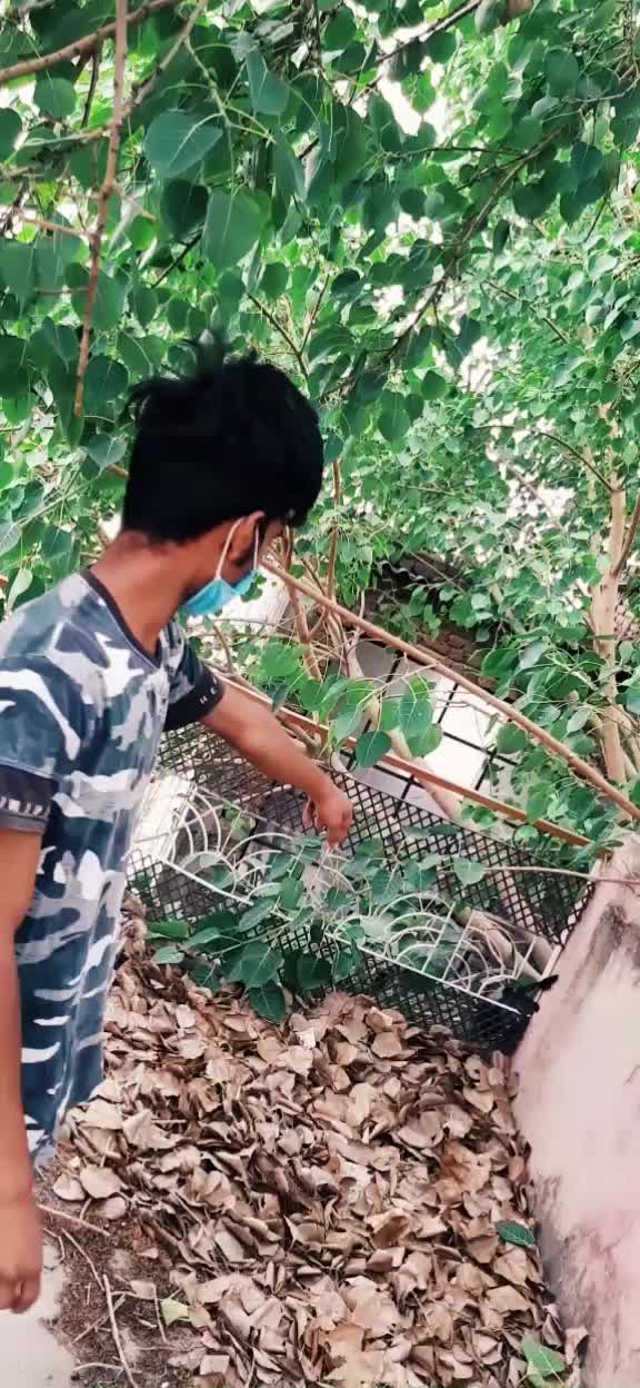 @Ikka Ikka