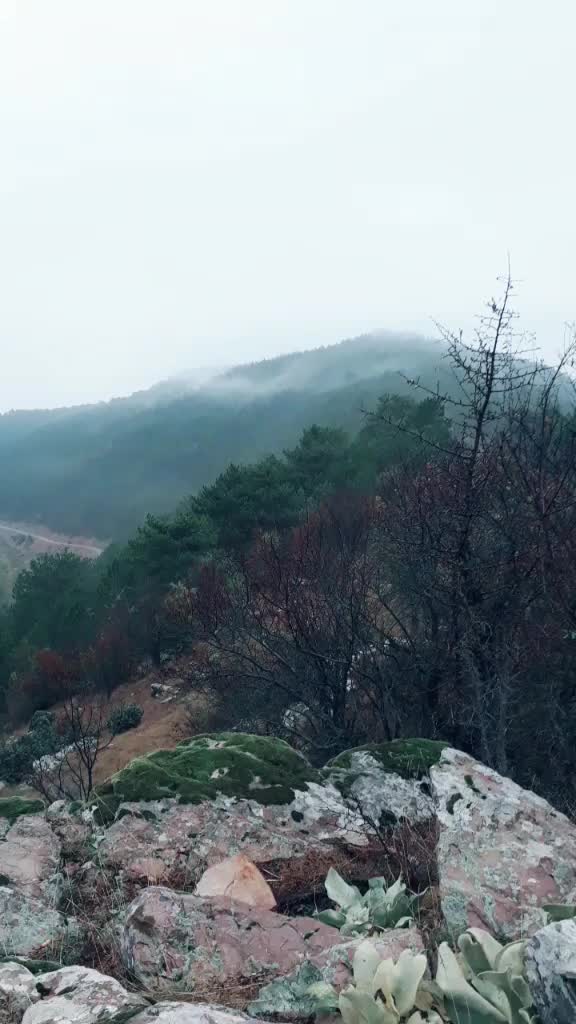 @dngszking