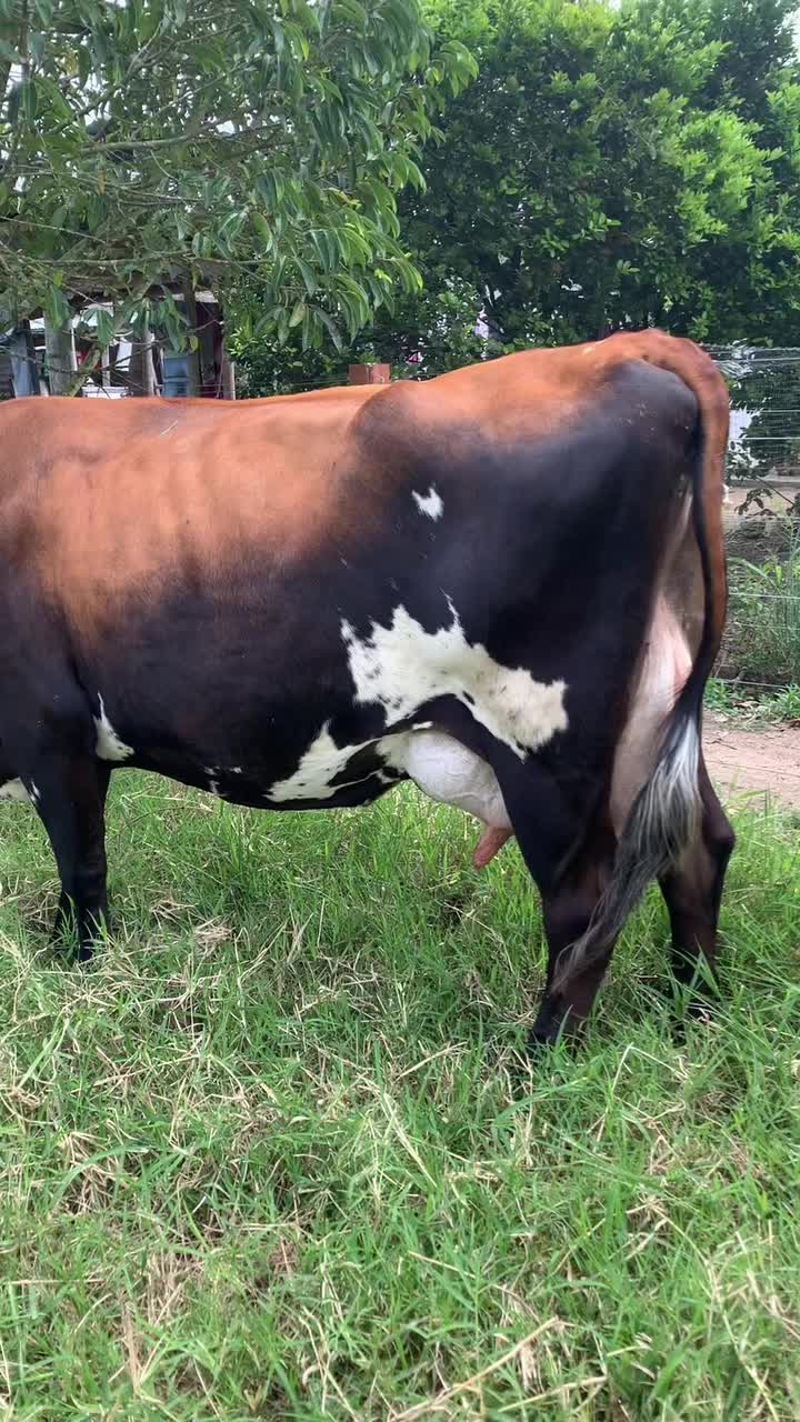 @Jhonatan Cabrera Var