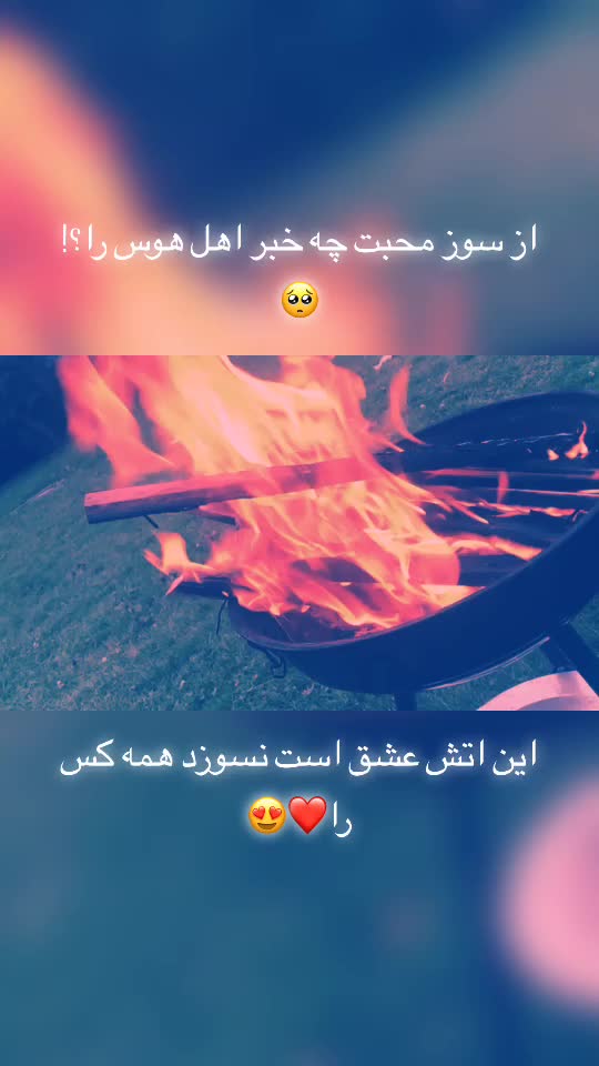 @Tiger_Jawid