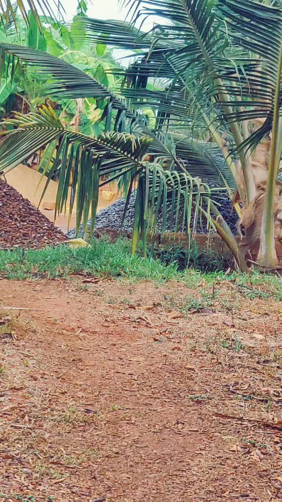 @Anjanaa Gowda