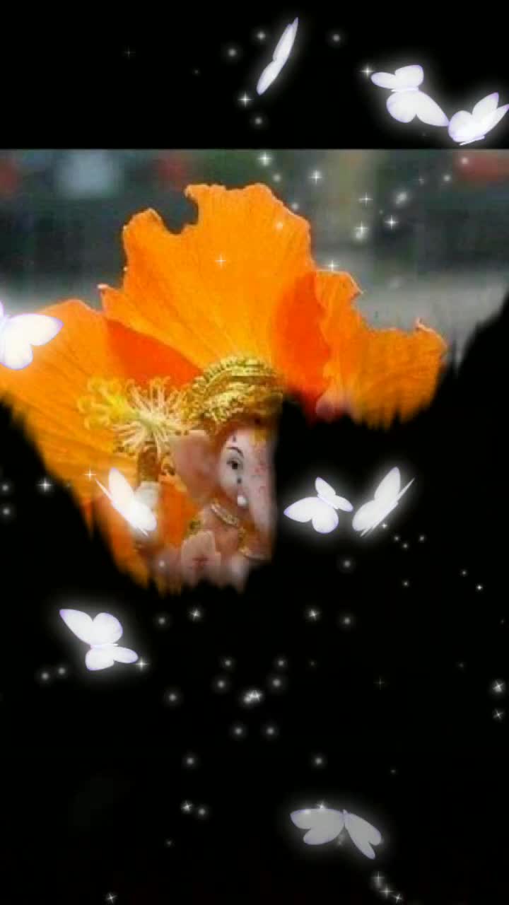 @vijay2130