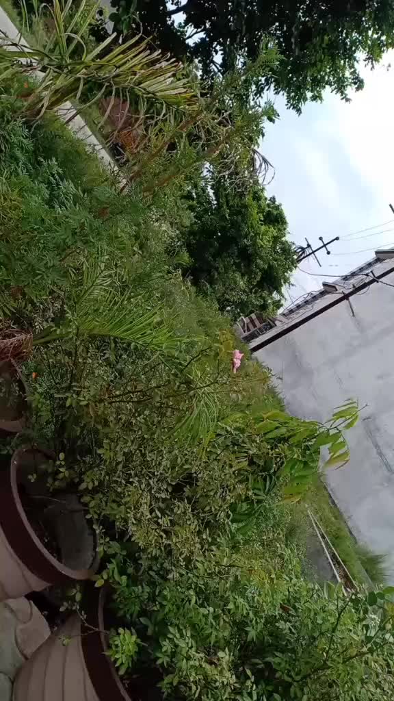 @poojarajput🔥