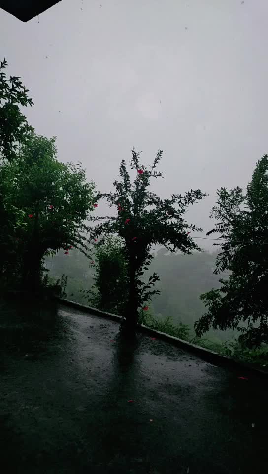 @ठकुराईन PK 💞
