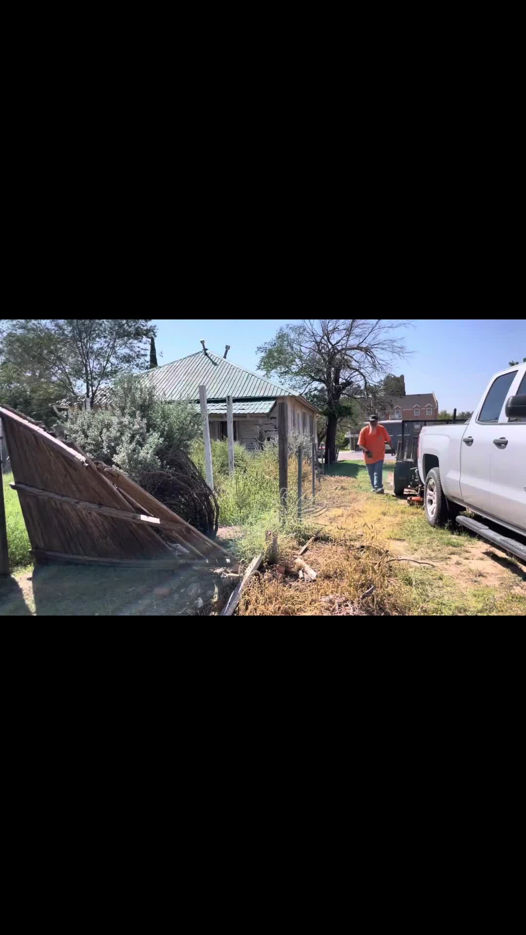 @treeplant_gardening