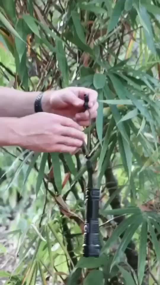 @Terra