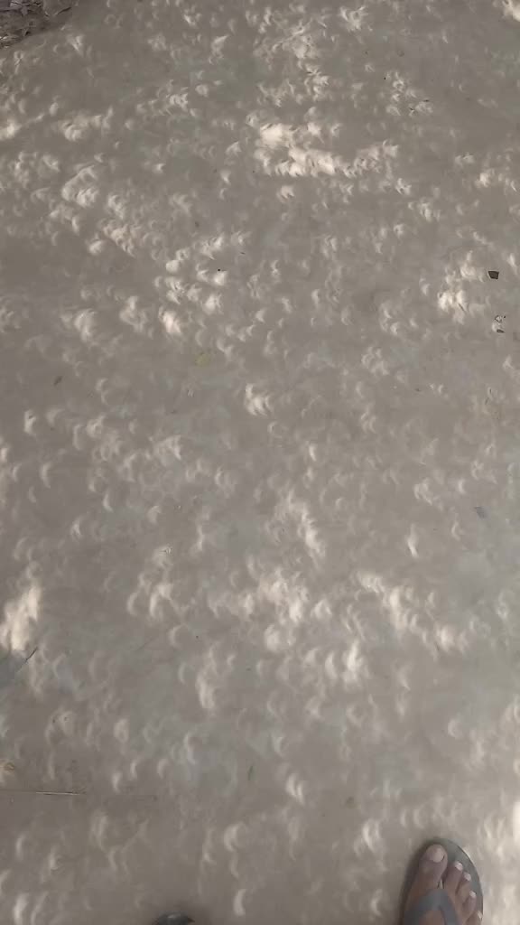 @Parveen Rajput