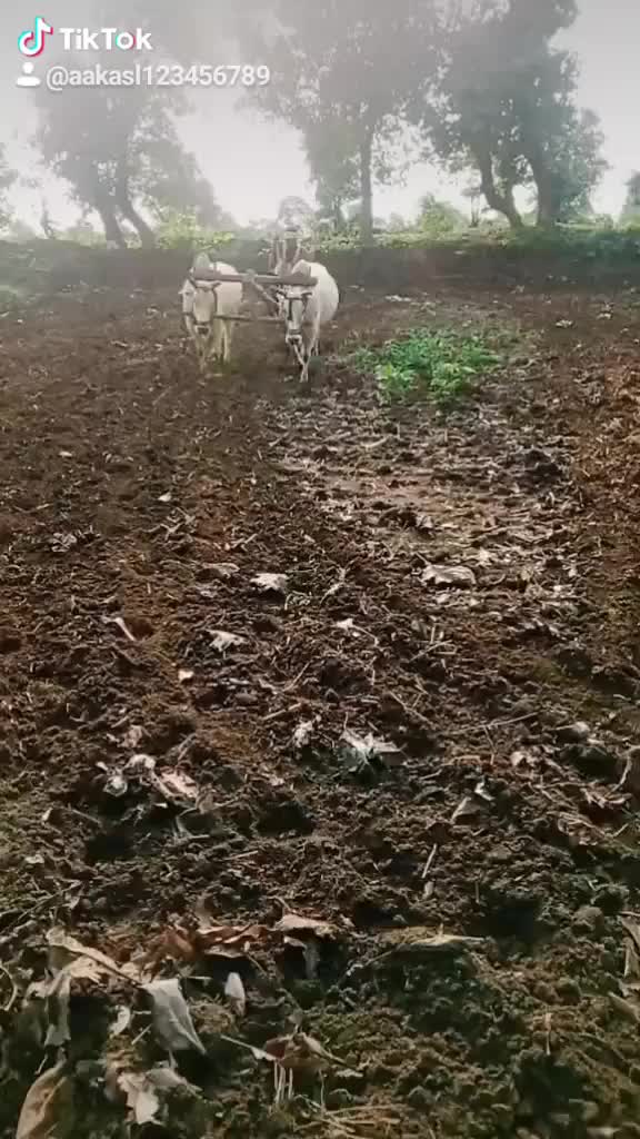 @Akash1188