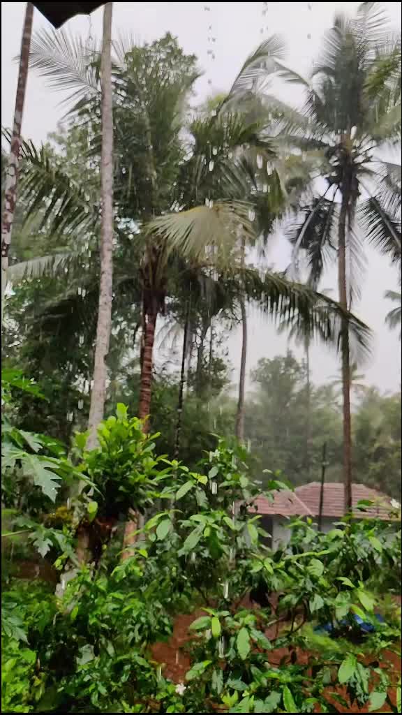@Hareesh warrier