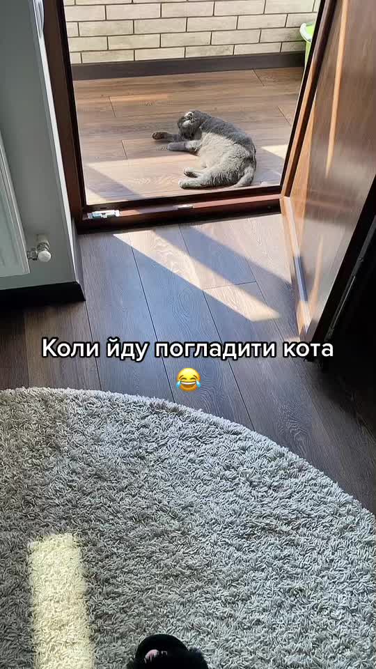 @Dyakova_V