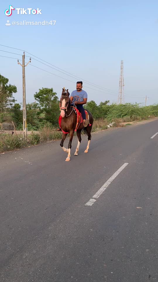 @Salim Sandh