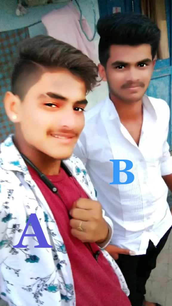 @love bird