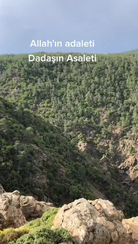 @Serhat Pala