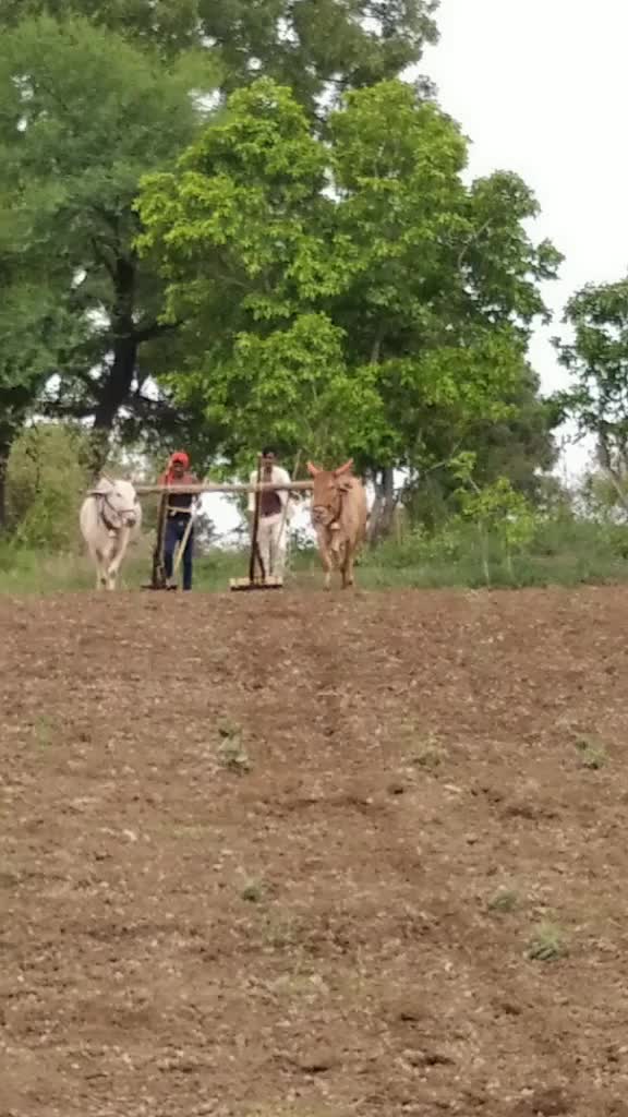 @Vaibhav Vhagade