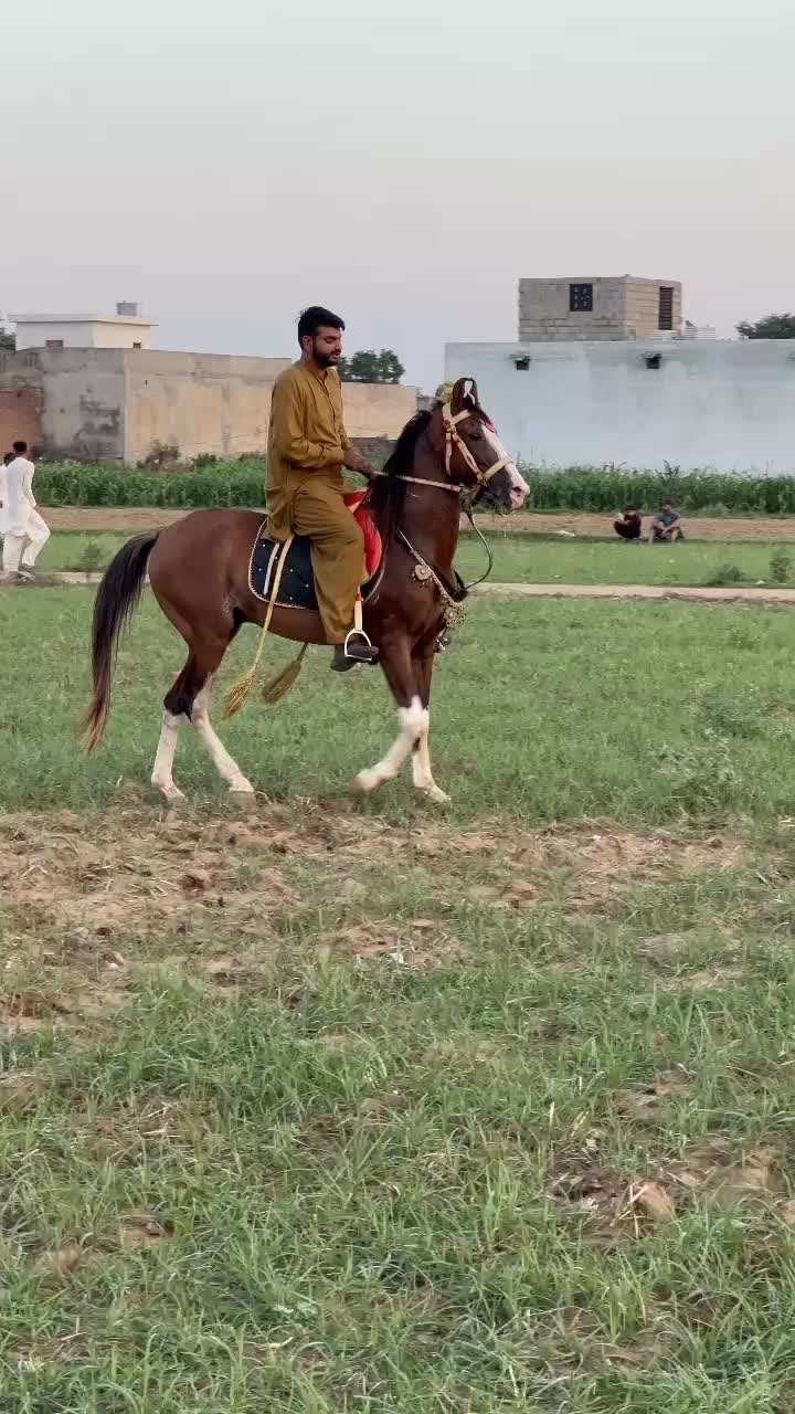 @Raja Ghayas Ahmed
